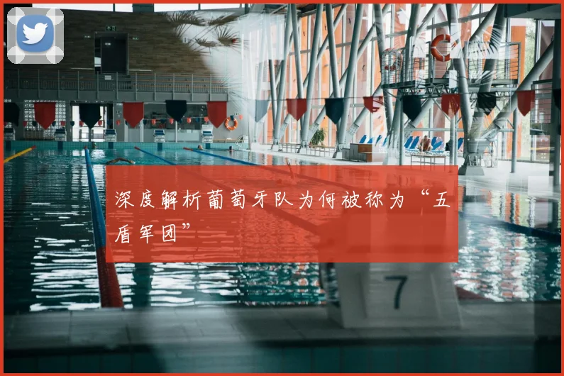 深度解析葡萄牙队为何被称为“五盾军团”